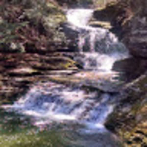 Meet your Posher, Maggie